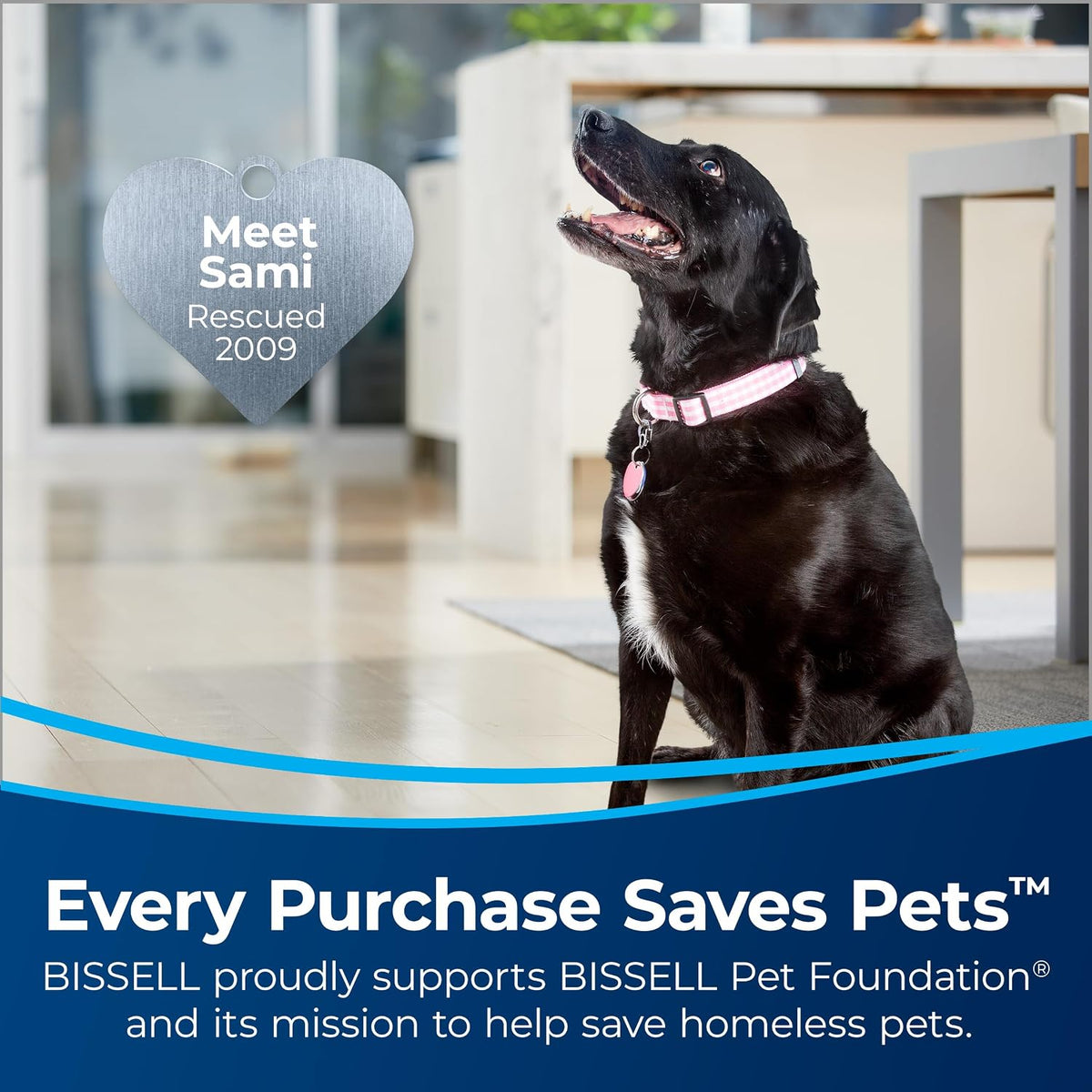 bissell cleanview swivel pet reach, quick release wand, side view