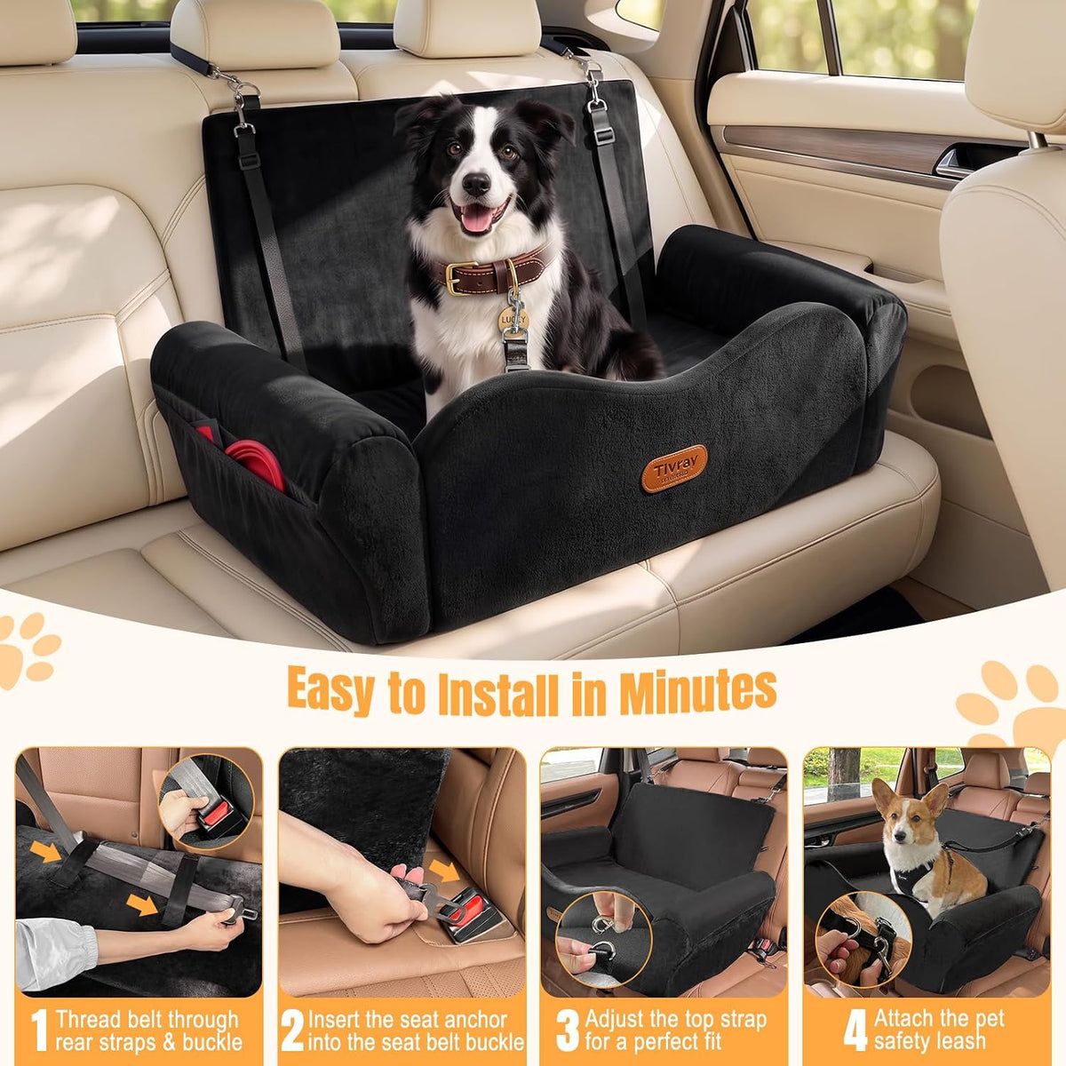 elevated dog car seat for 2 small dogs on a desk or shelf