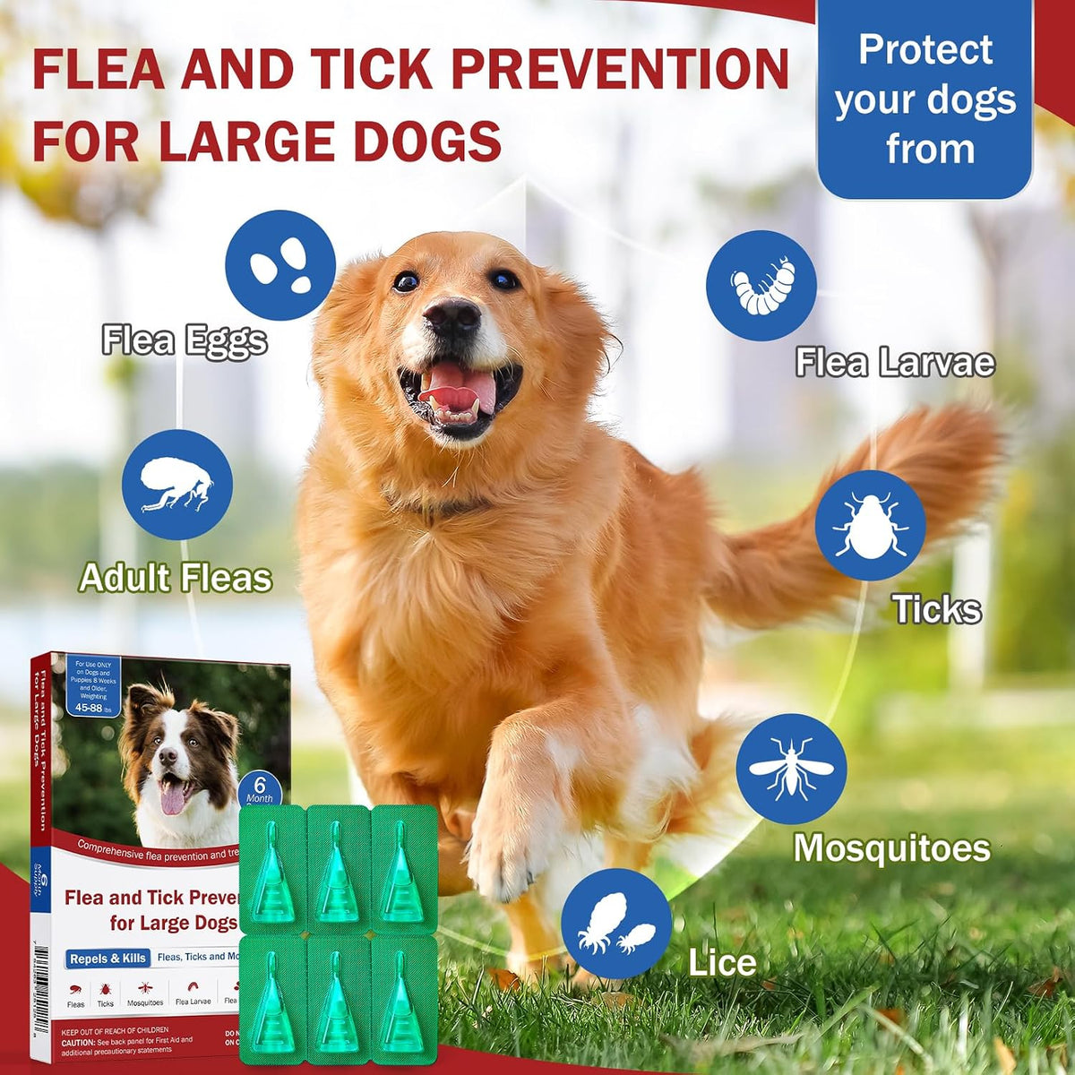 flea and tick prevention for large dogs, flea shown in use