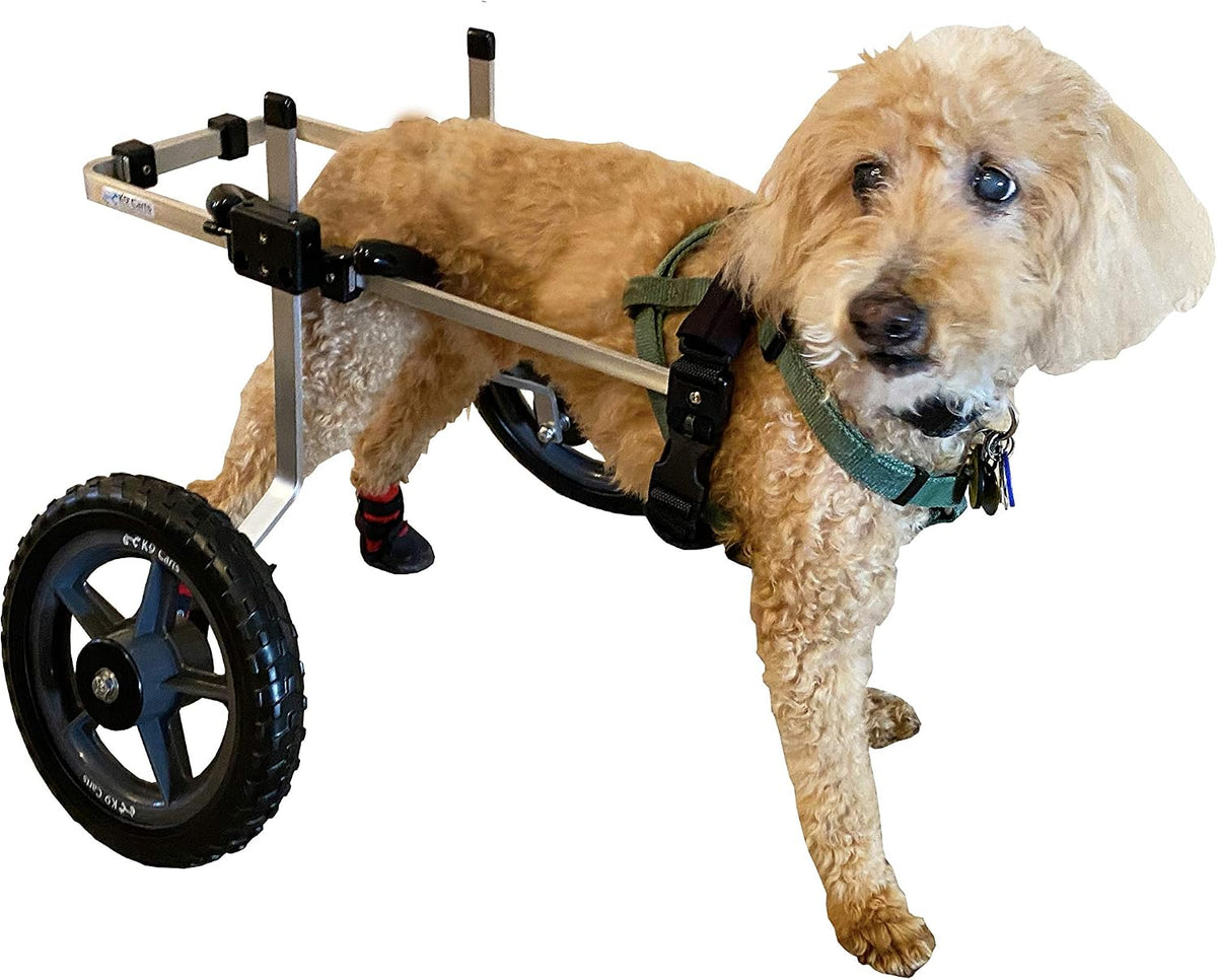 dog wheelchair back legs, adjustable, custom made in, main product view