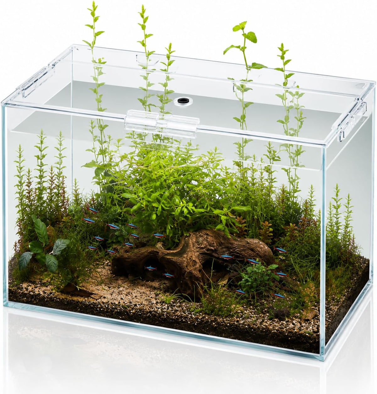 10 gallon glass fish tank open-back lid, aquarium, main product view