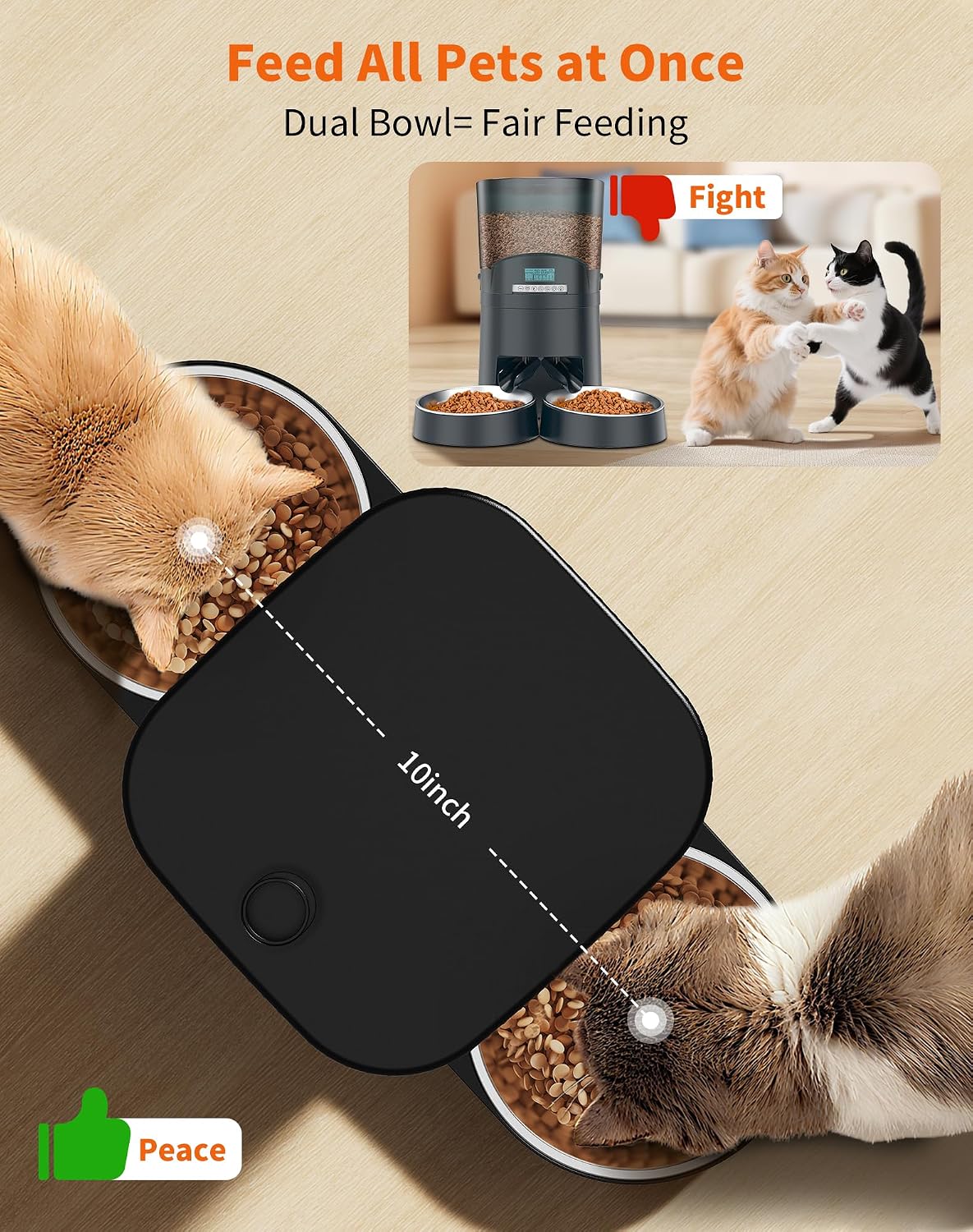 honeyguardian automatic cat feeder for 2 cats, automatic shown in use
