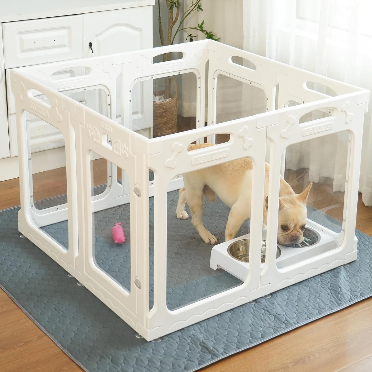 clear acrylic dog playpen indoor, 24" h, 2 shown in use