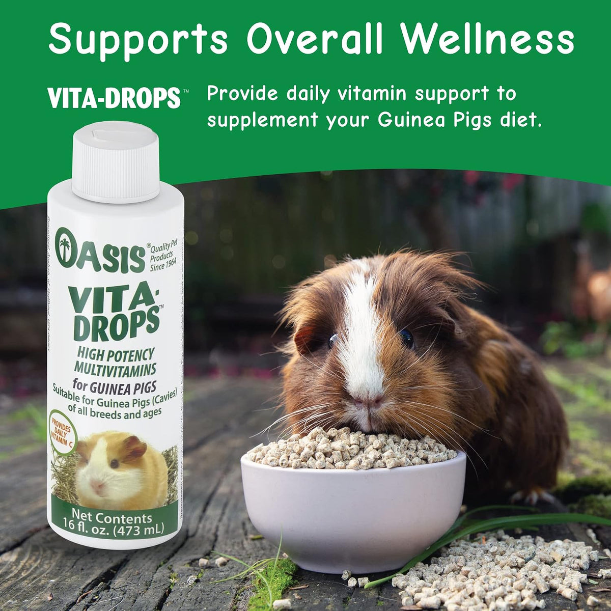 oasis guinea pig vitamins vita drops all-in-1 multivitamins shown in use