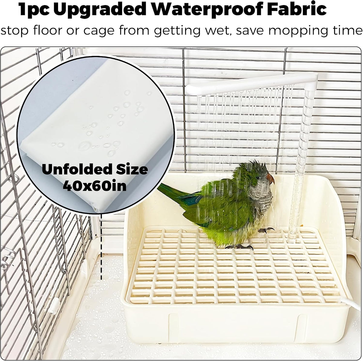 automatic parakeet bird bath with pump, large bird, close-up detail