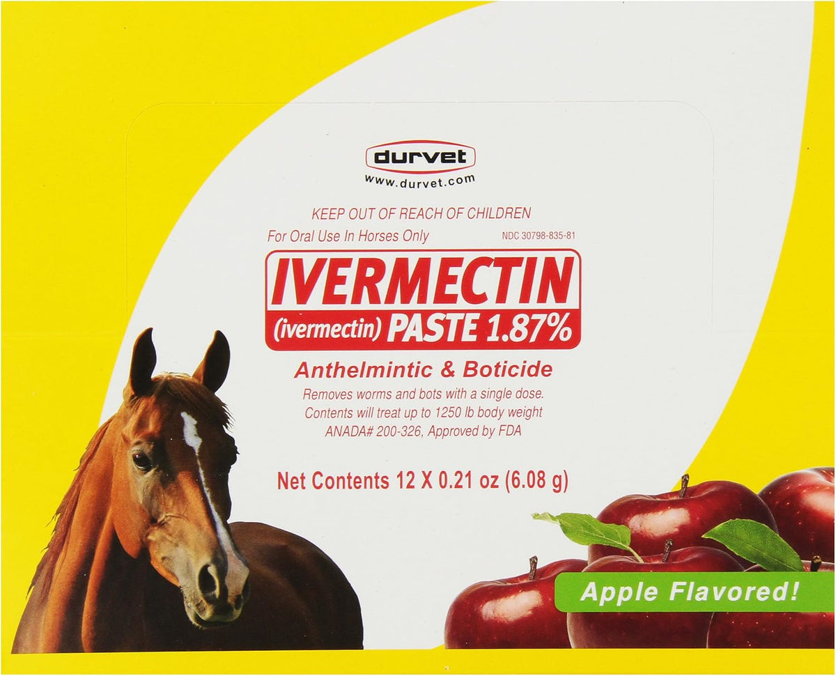 durvet 12-pack ivermectin dewormer paste for horses, main product view