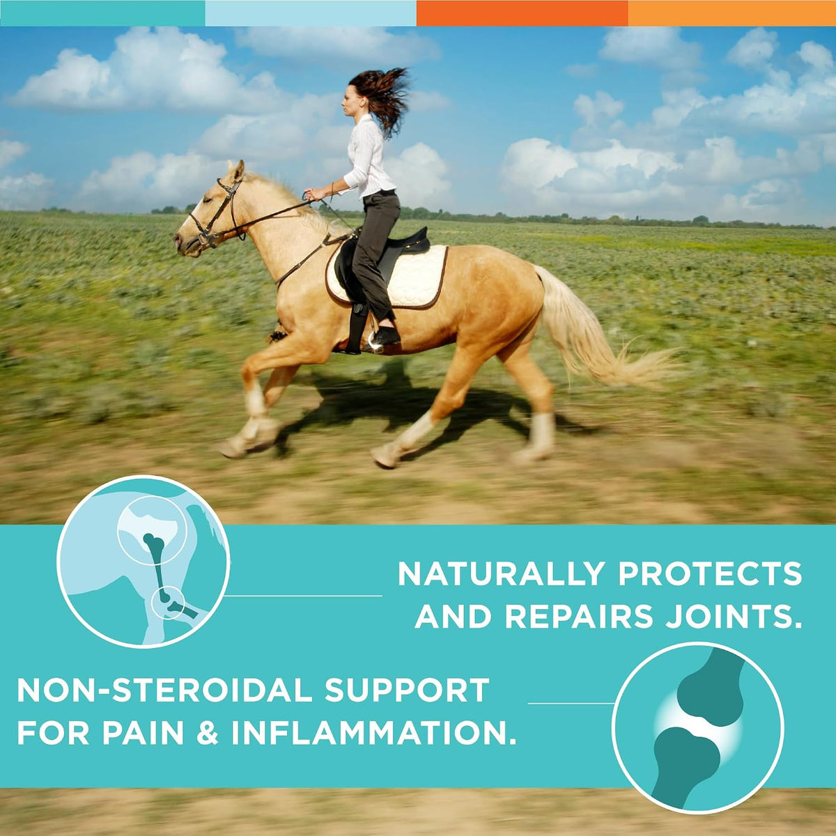 nusentia rjx for horses - triple strength glucosamine, side view
