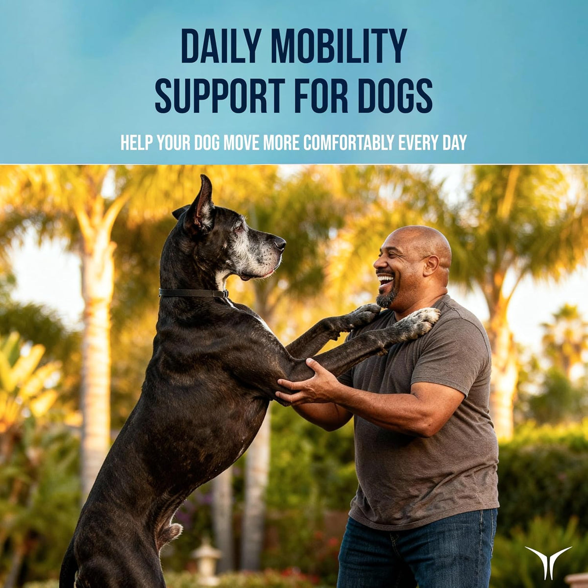 tvati pet topical daily mobility formula for dogs shown in use