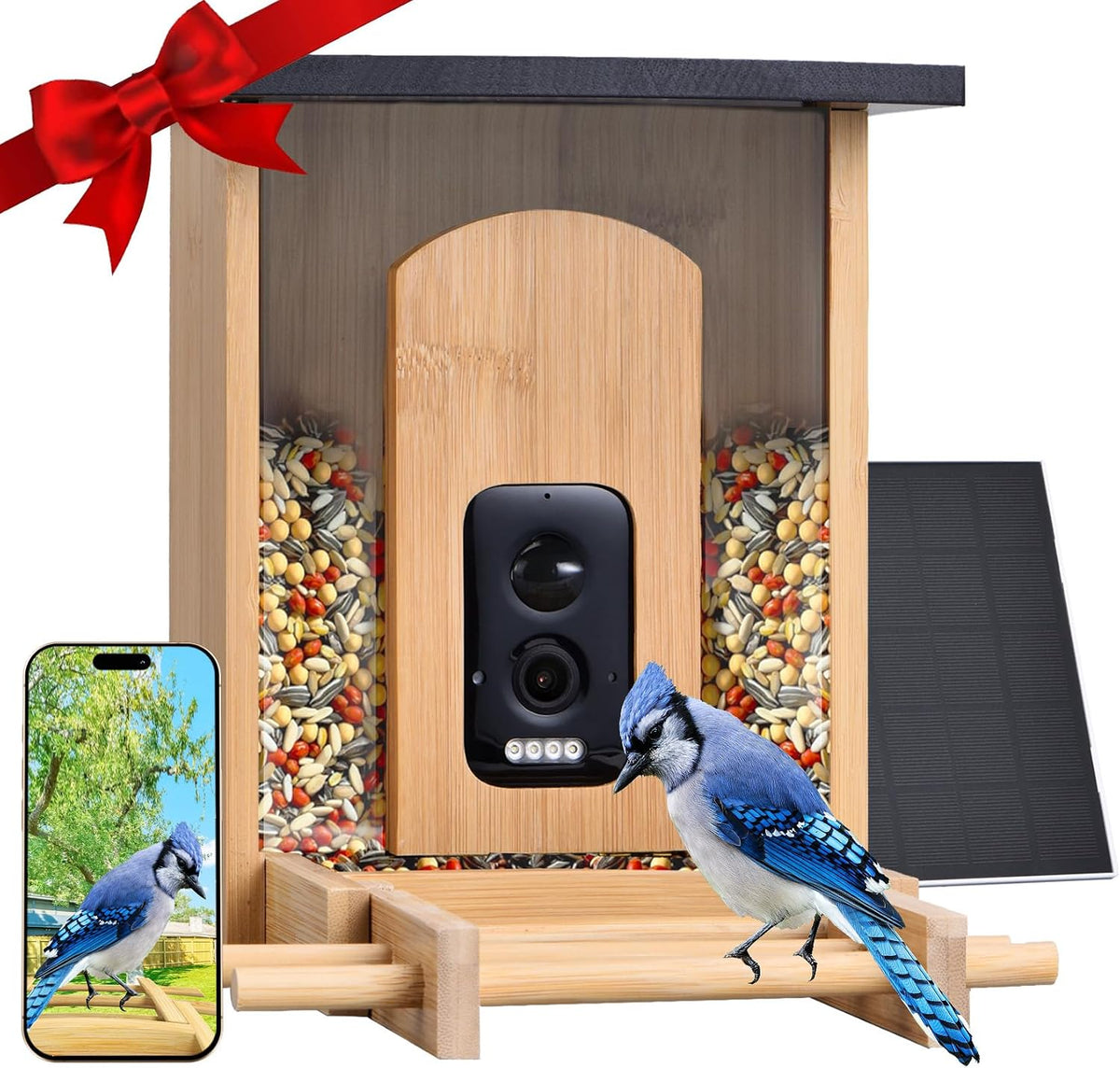 smart bird feeder with camera, solar charging long-lasting, main product view