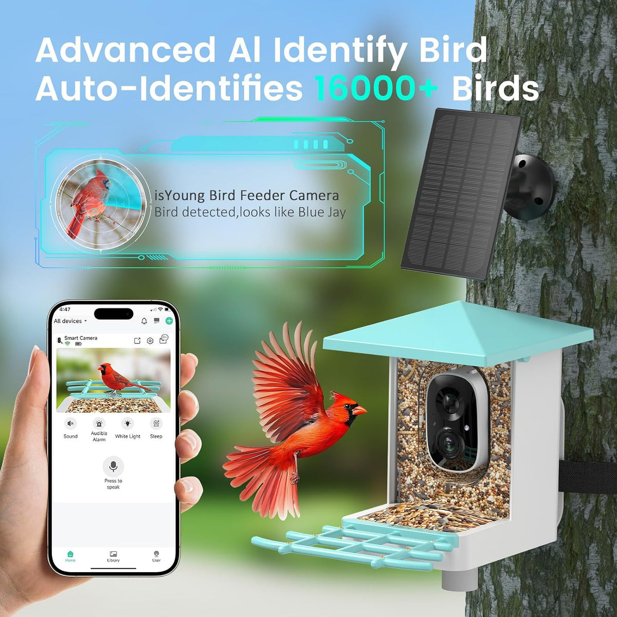 smart bird feeder with camera, 2.5k live cam shown in use