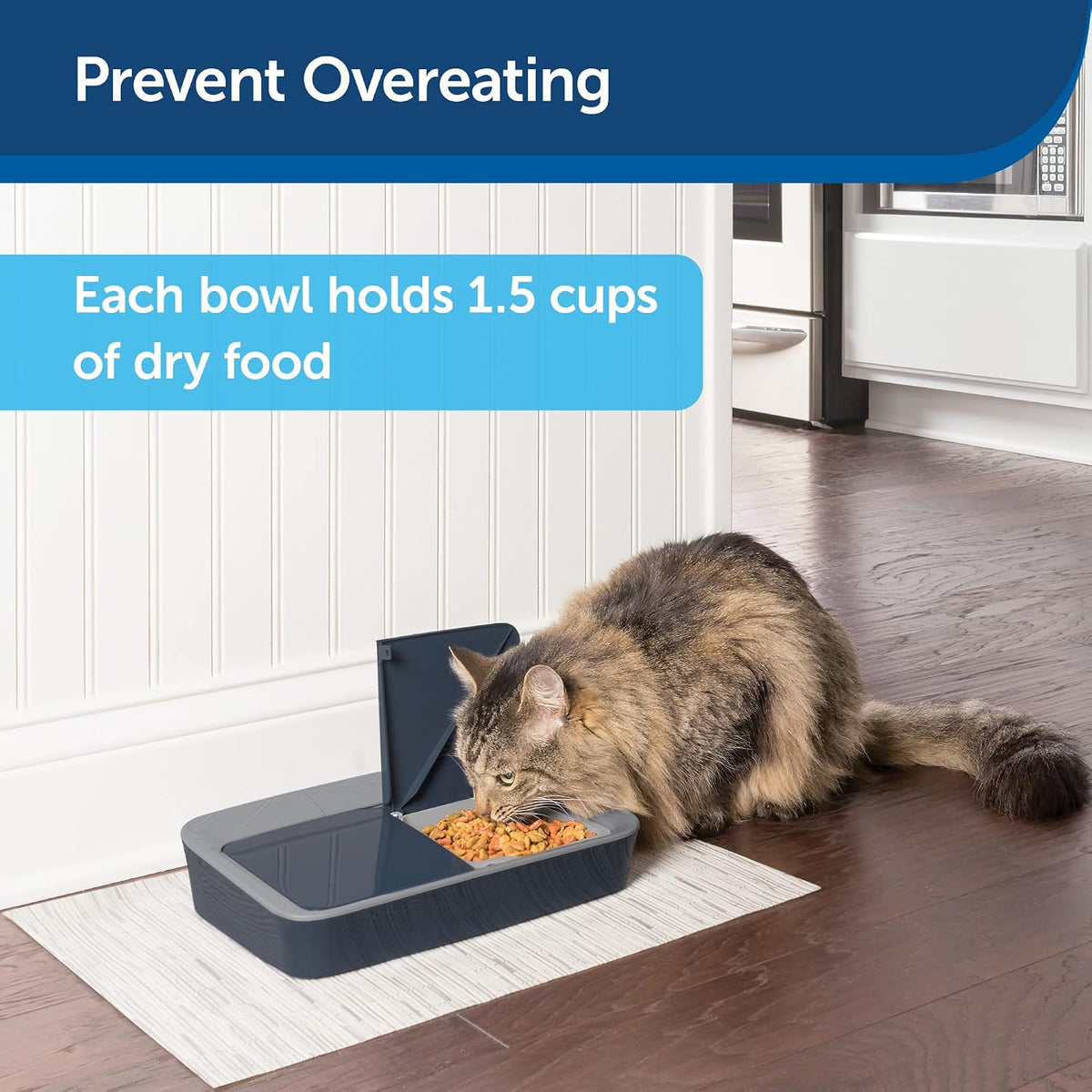 petsafe digital 2 meal programmable pet feeder shown in use