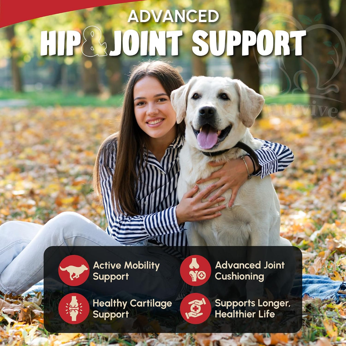 veterinary grade hip and joint supplement for dogs shown in use