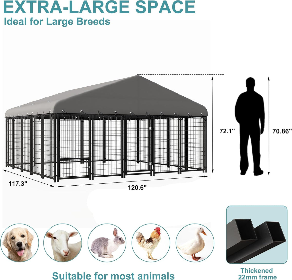 120"x118" dog kennel outside, large outdoor dog kennel shown in use