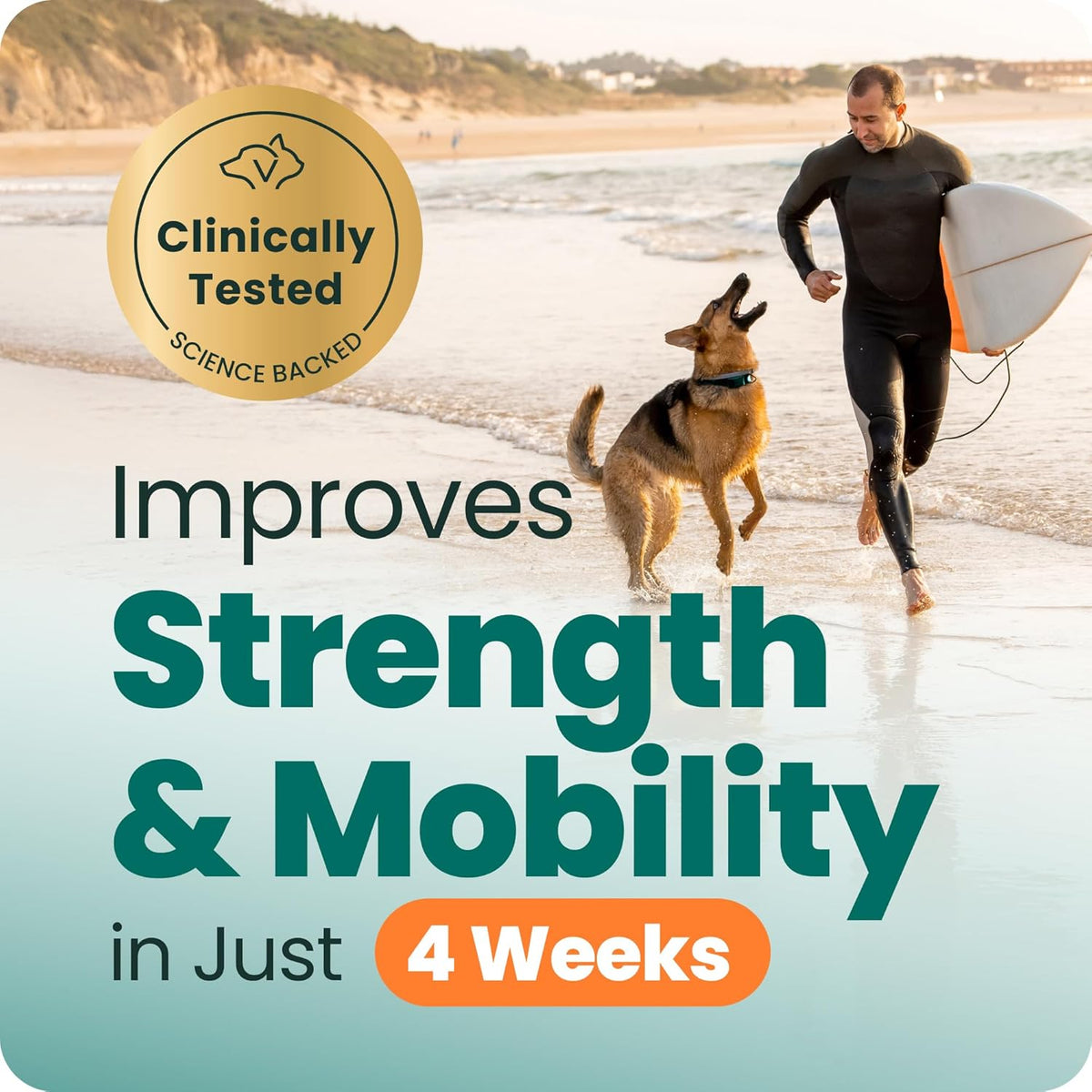 vetriscience extra strength healthy hip and joint for shown in use