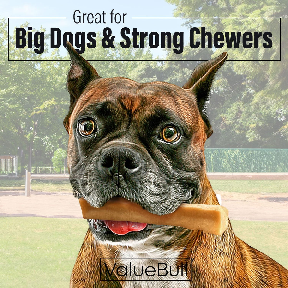 valuebull himalayan yak cheese dog chews, large, 10 shown in use