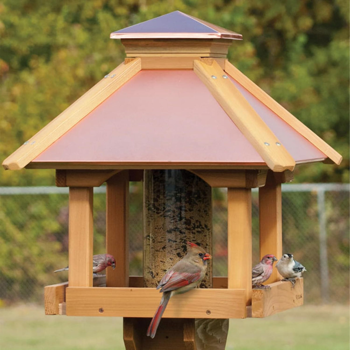 woodlink copgazebo coppertop wood gazebo bird feeder shown in use