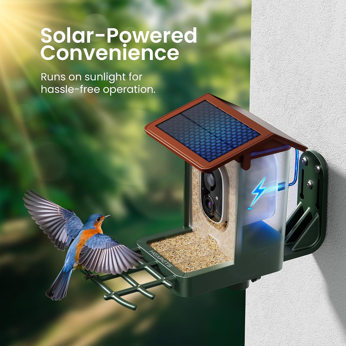 smart bird feeder with camera solar powered 2k, side view