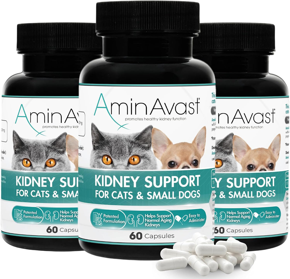 aminavast kidney support for cats & small dogs, main product view