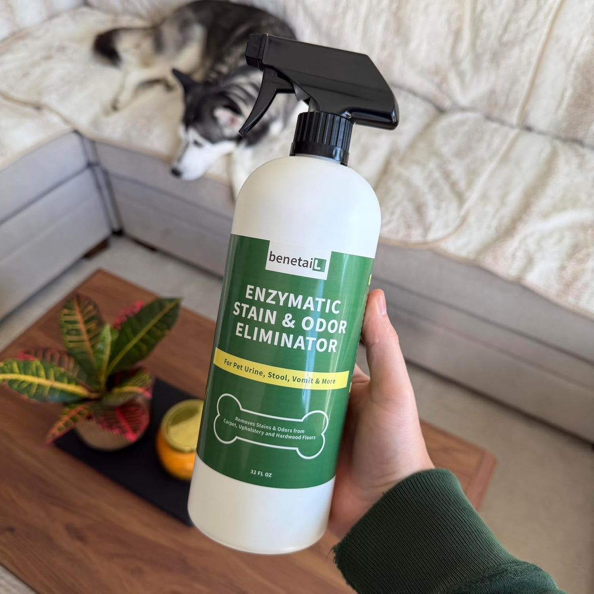enzymatic cleaner for dog & cat urine, stain showing dimensions