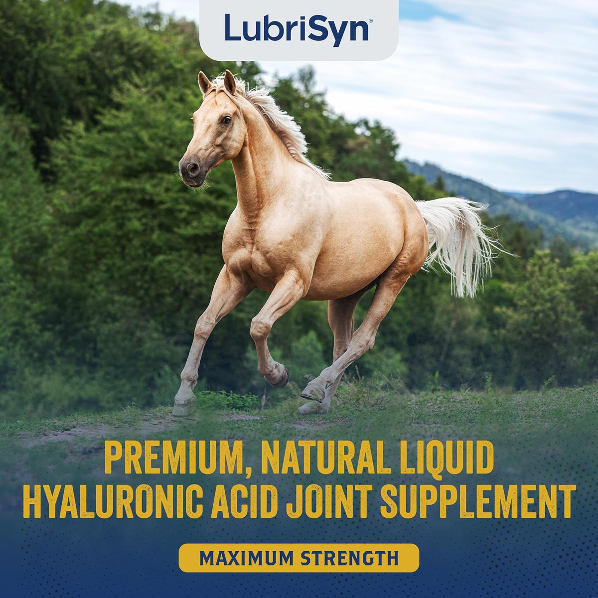 lubrisyn ha hyaluronic acid hip & joint supplement shown in use