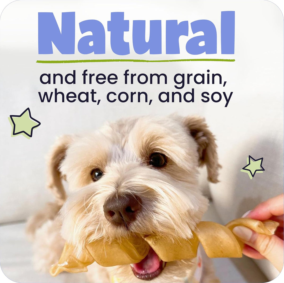 pawstruck small collagen sticks 100% natural beef chews shown in use