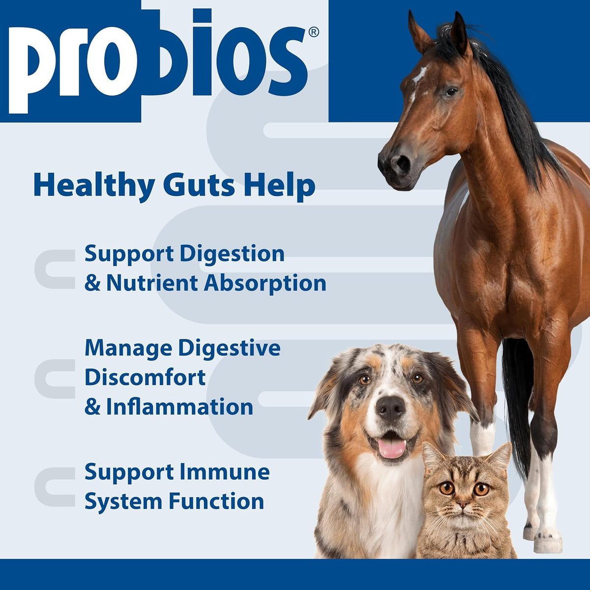 probios digestive support powder for pets, 5 lb, close-up detail