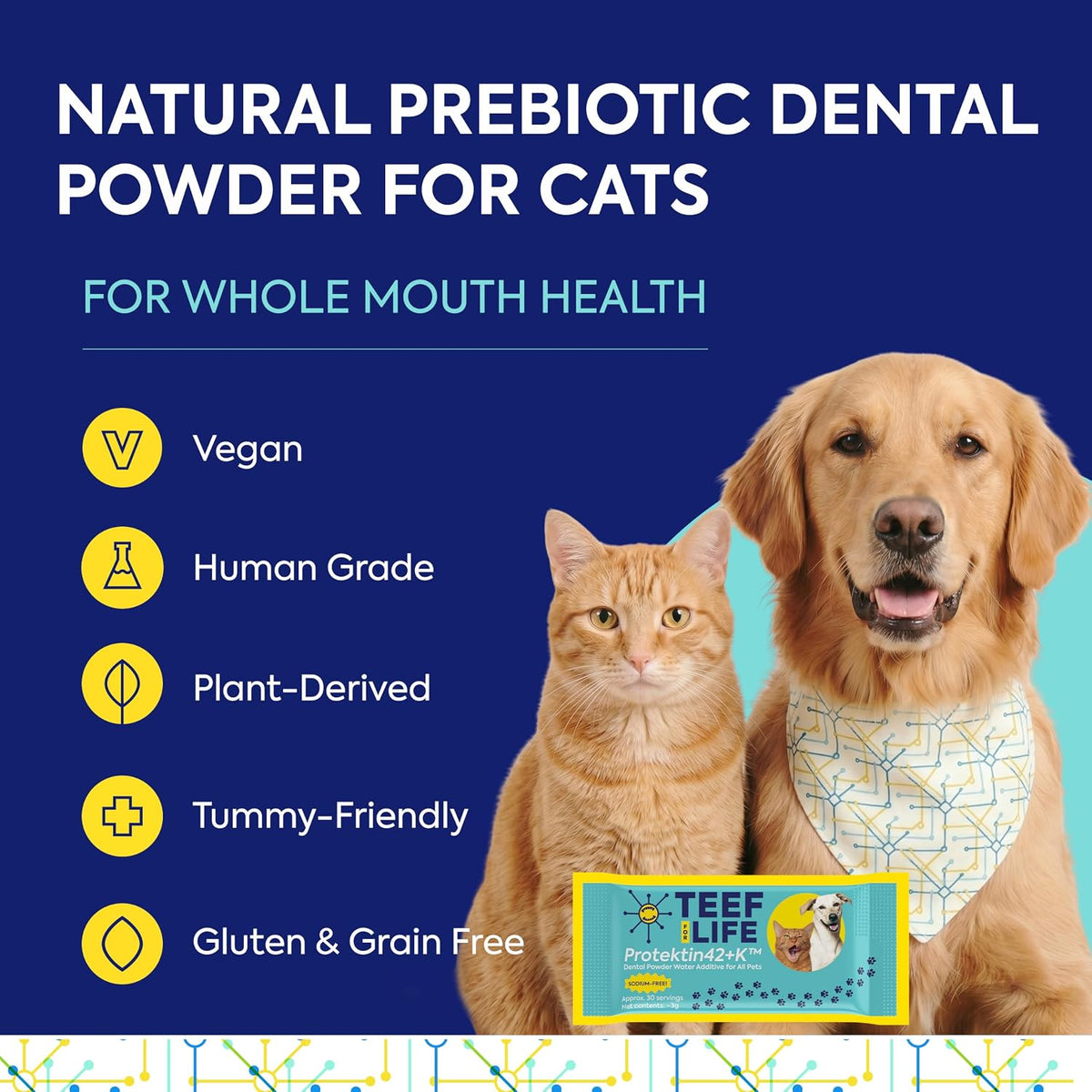 teef for life protektin42k prebiotic pet dental powder shown in use