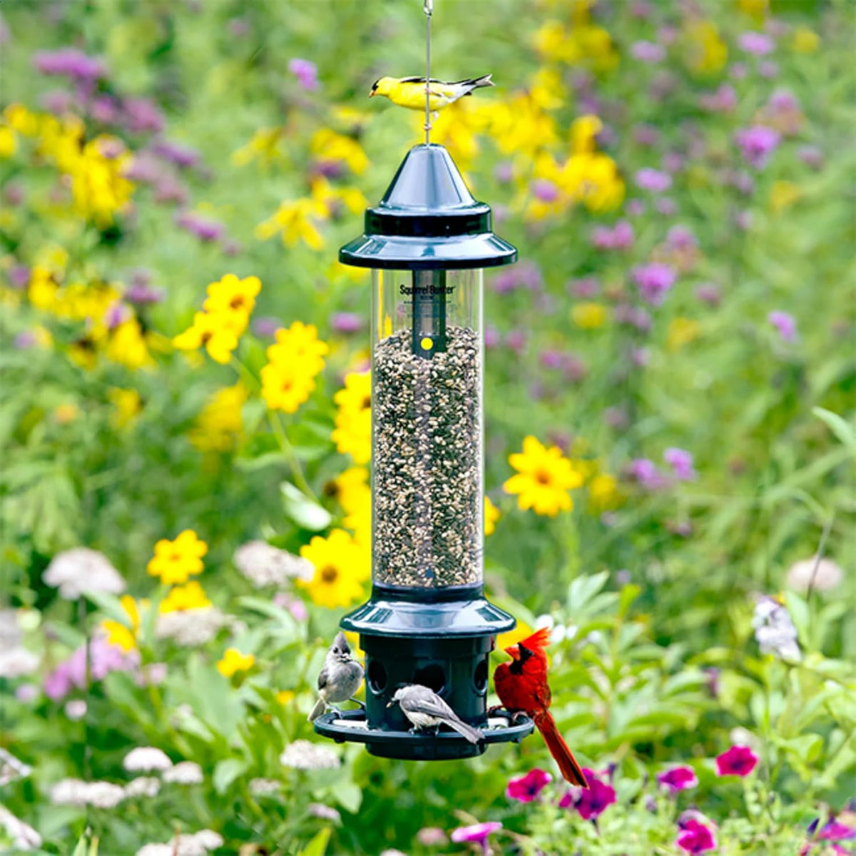 brome,squirrel buster plus 6"x6"x28" (w/hanger) wild bird feeder, side view