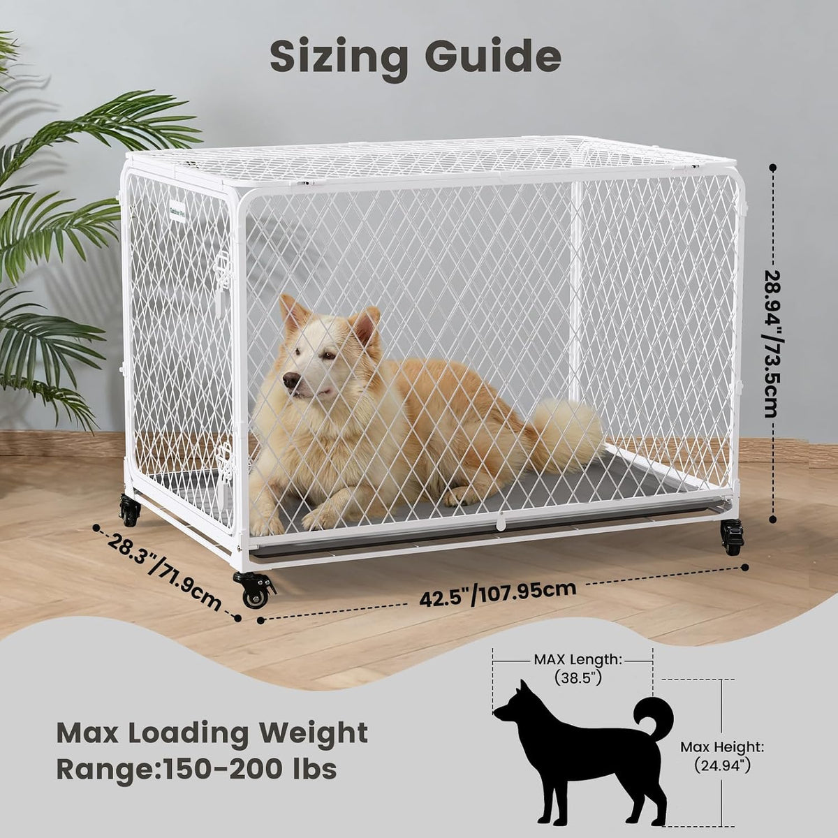 42 inch collapsible dog crate with diamond mesh shown in use