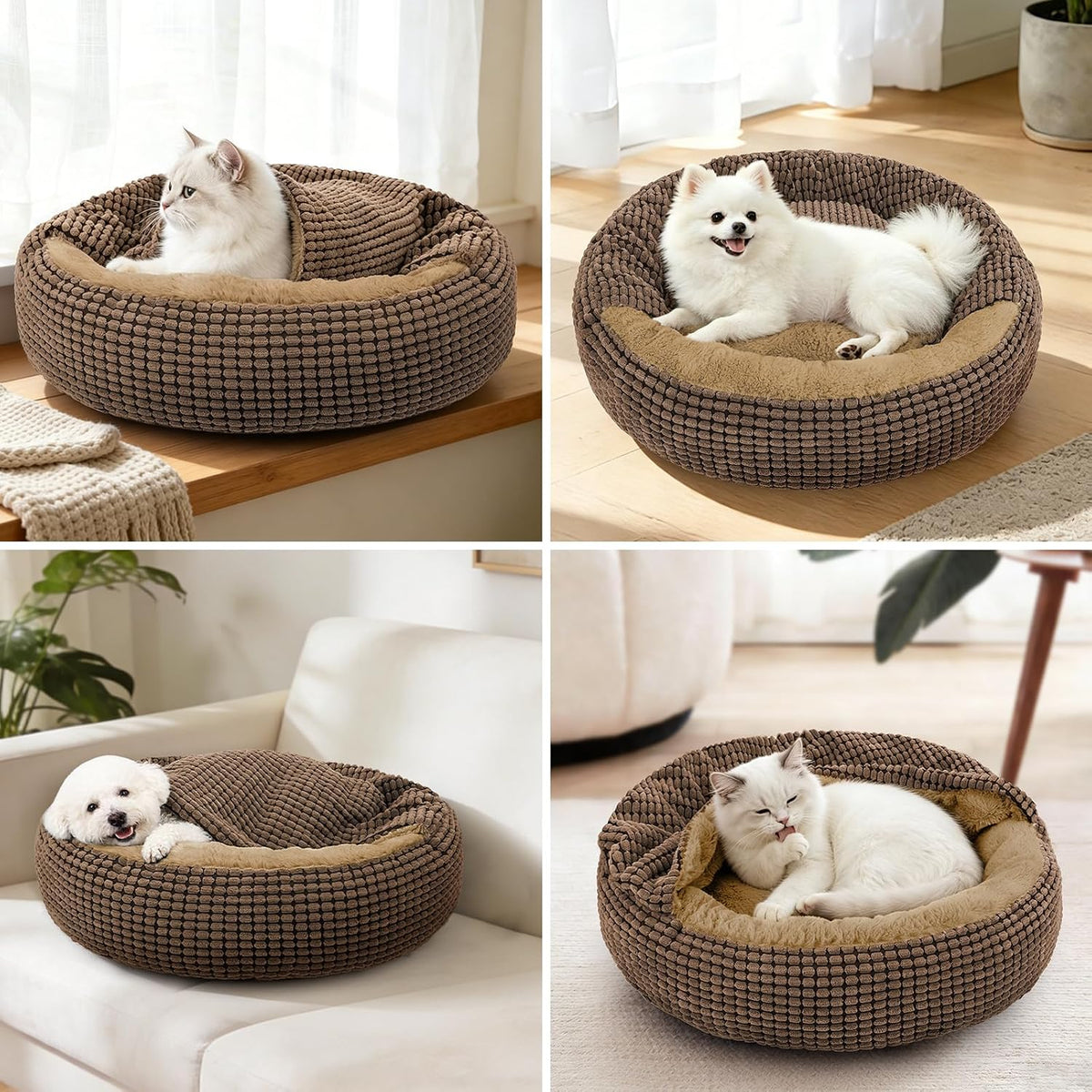 small dog bed with attached blanket, cozy donut showing dimensions