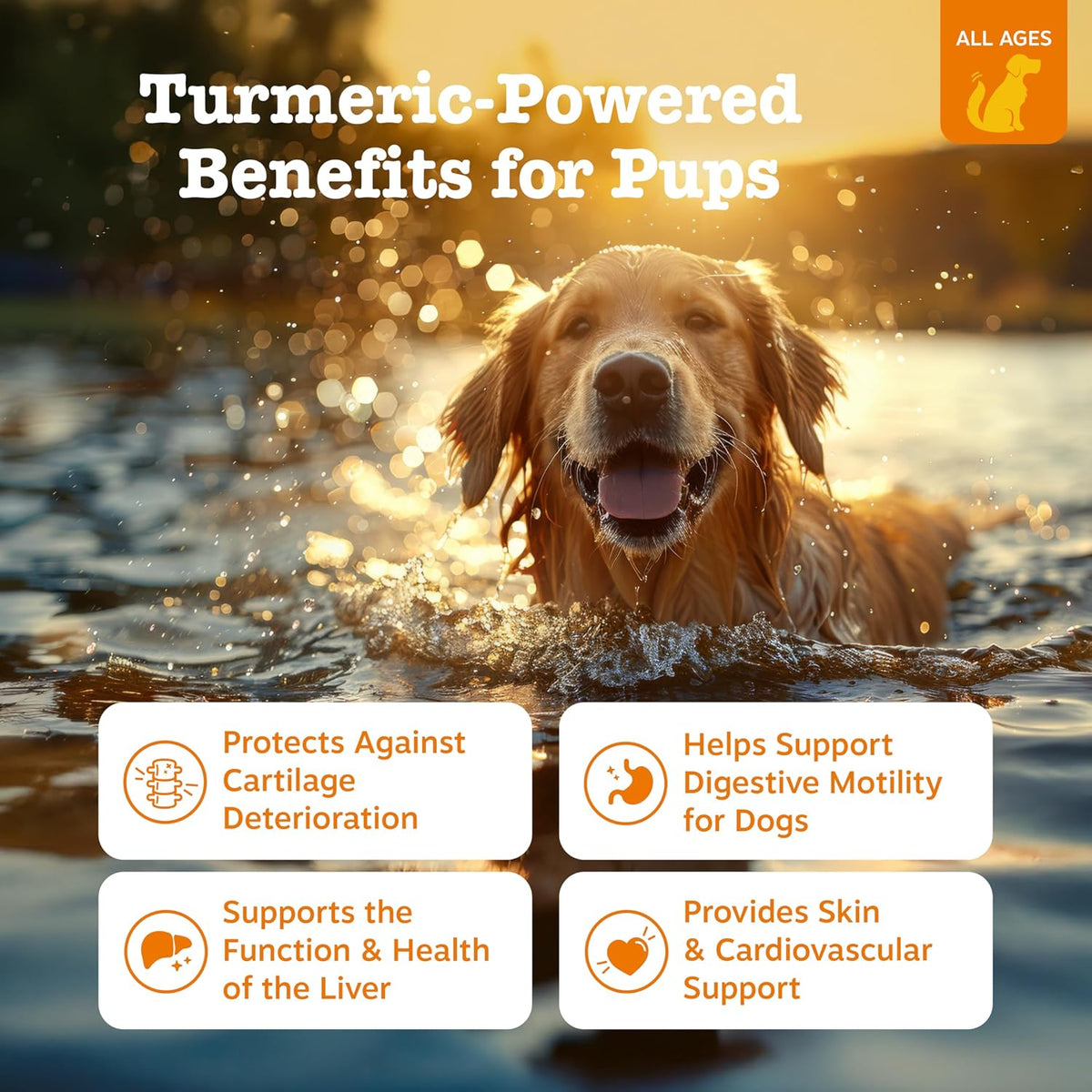 zesty paws turmeric dog joint supplement - joint shown in use