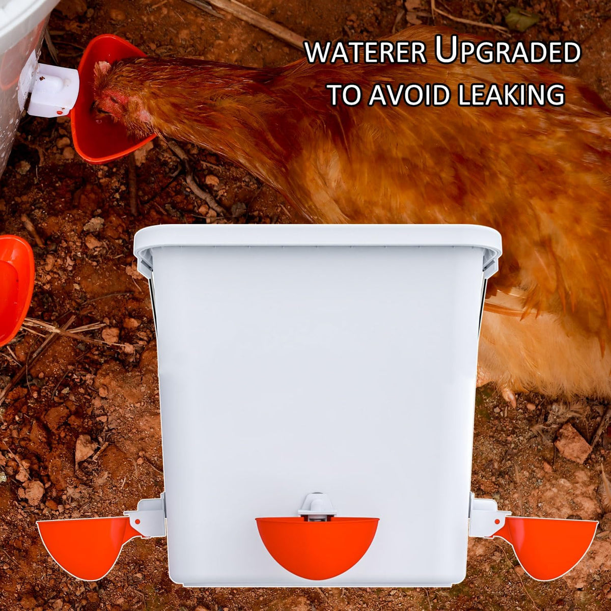 automatic chicken feeder and waterer set hanging chicken, side view