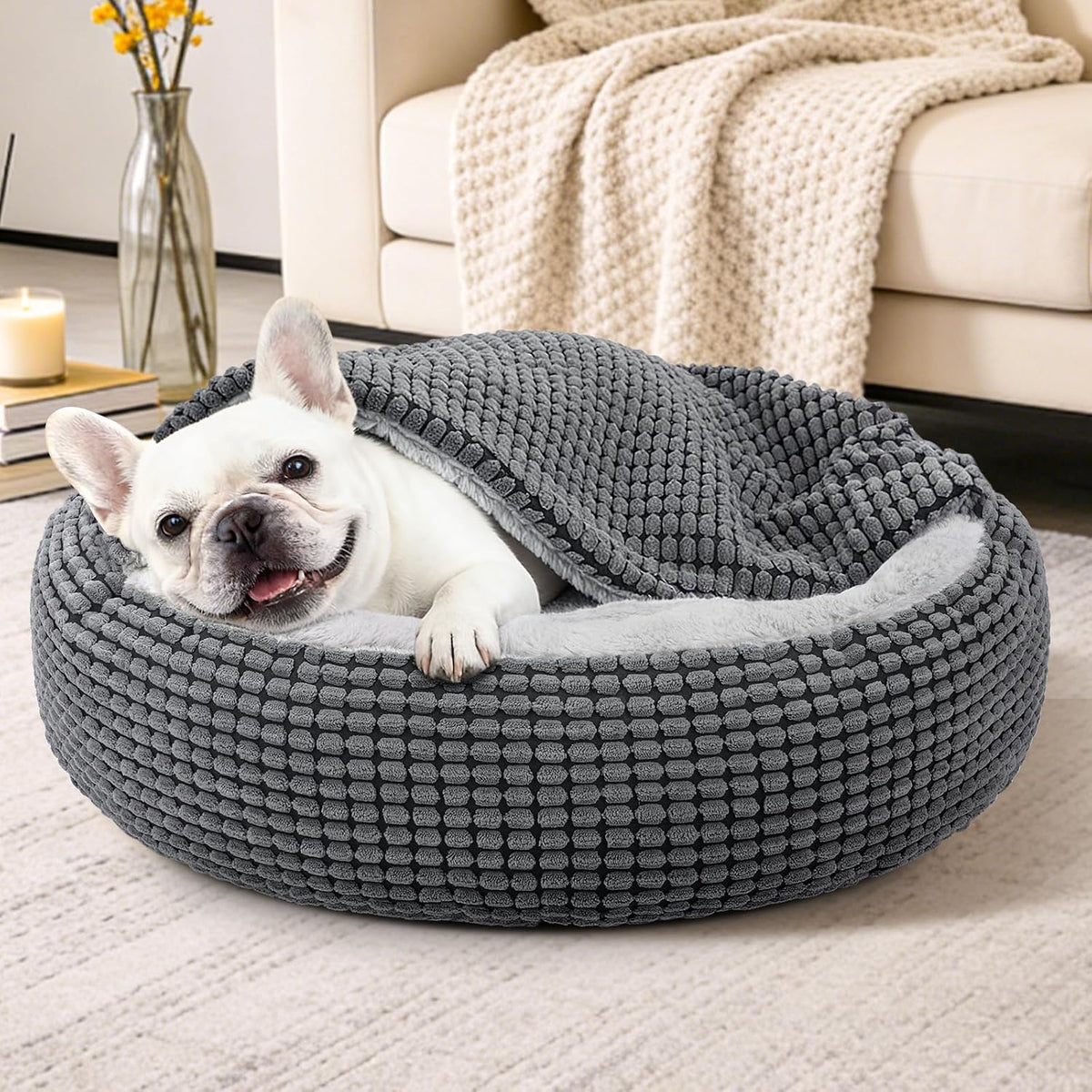 dog bed with attached blanket for small dogs, front angle view