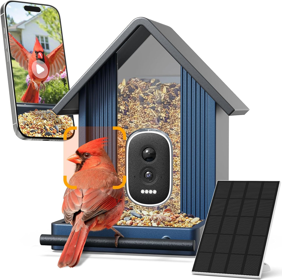 smart metal bird feeder with camera, deep blue, main product view
