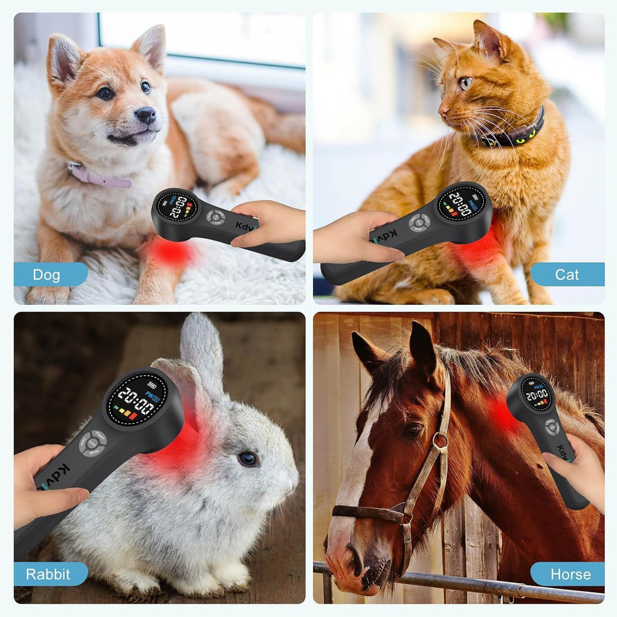 cold laser therapy for dogs, red light therapy showing dimensions