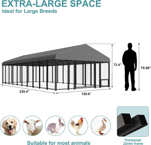 20 ft large outdoor dog kennel with double shown in use