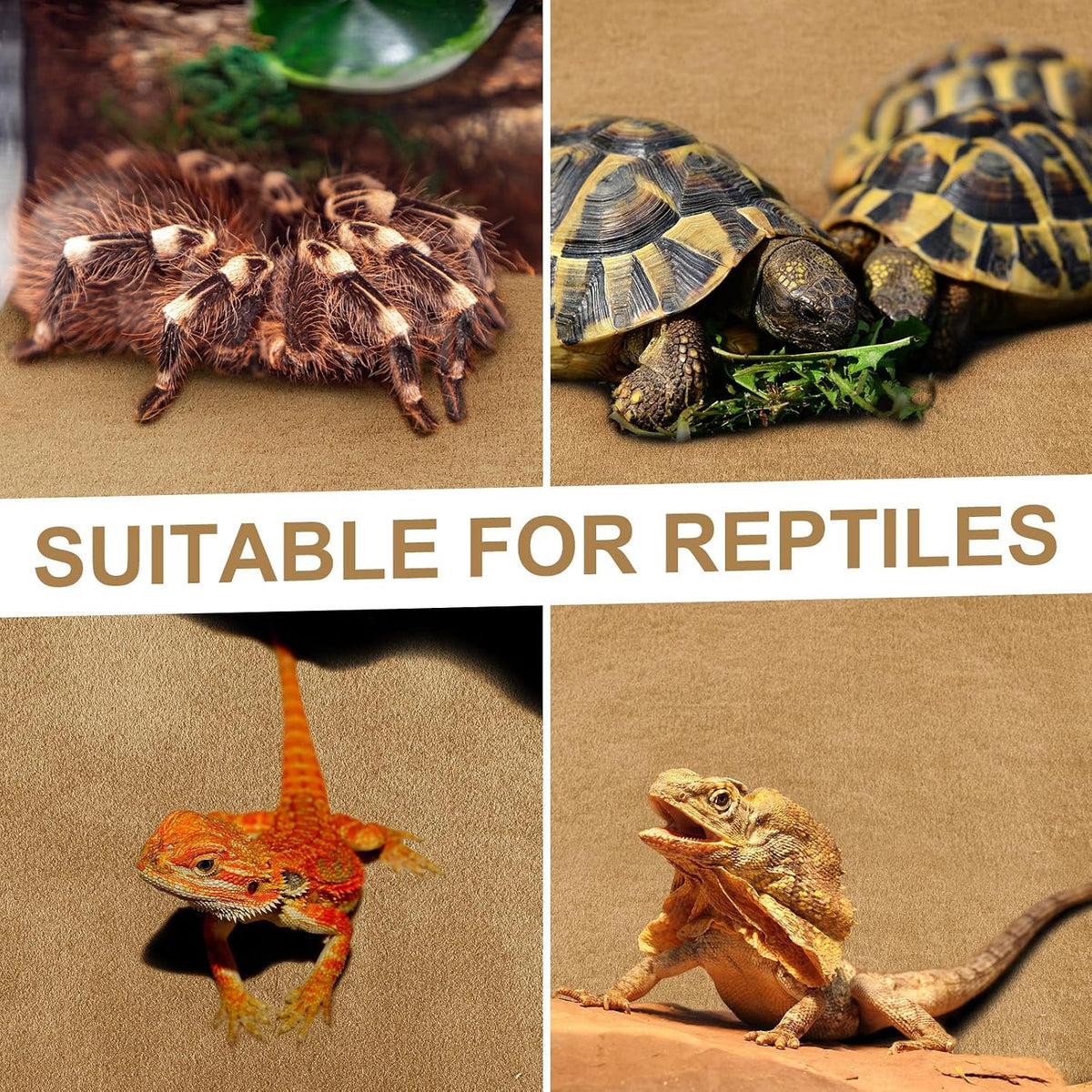 haull 4 pcs reptile carpet terrarium floor mat showing dimensions