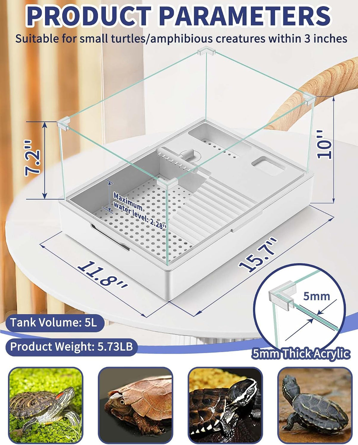 moonorange turtle tank kit(tank + light + water, close-up detail