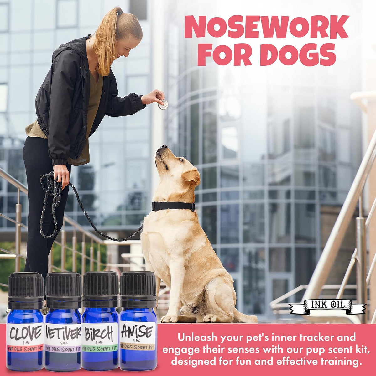 ink oil - pup scent work starter kit showing dimensions