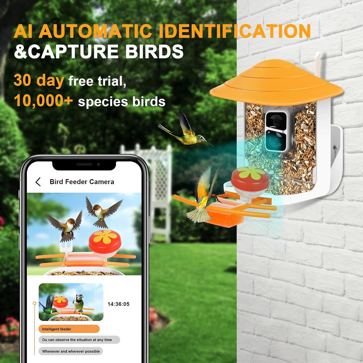 bird feeder with camera,1080p hd,160° wide angle,ai recognition shown in use