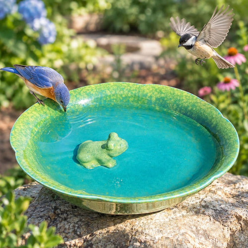 10" w ceramic bird bath bowl,bird bath for, main product view