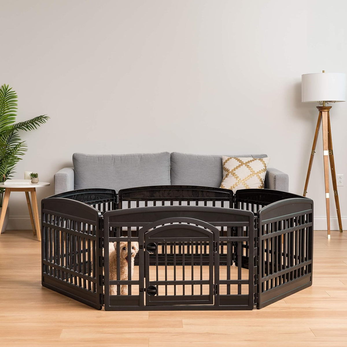 iris 24'' 4 panel pet playpen with door shown in use