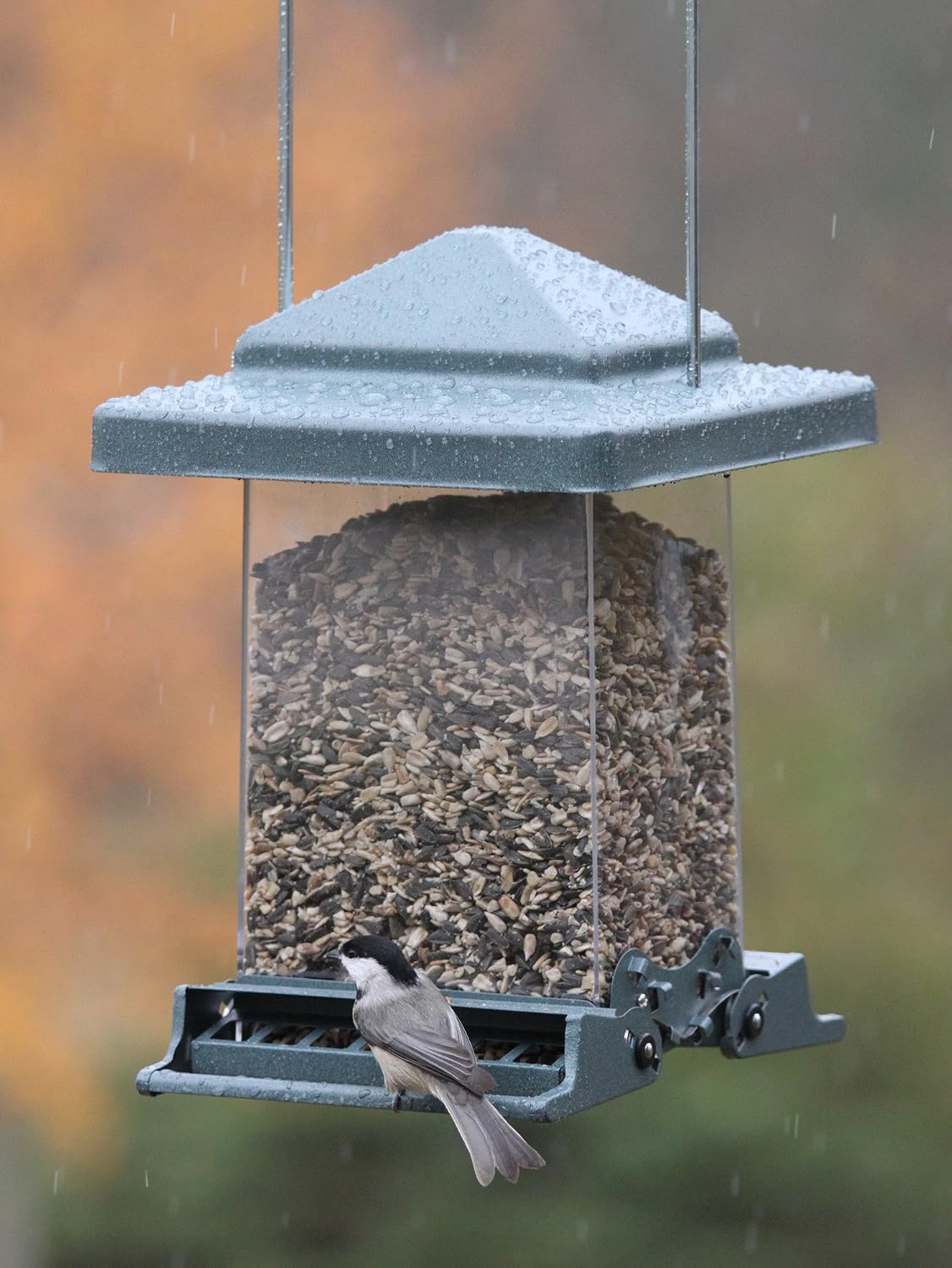 audubon vista squirrel resistant bird feeder model 75160, close-up detail