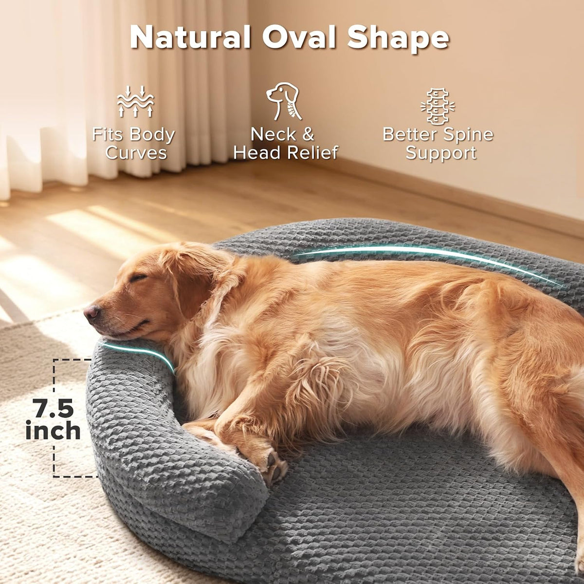 joejoy xl orthopedic dog beds large sized dog shown in use