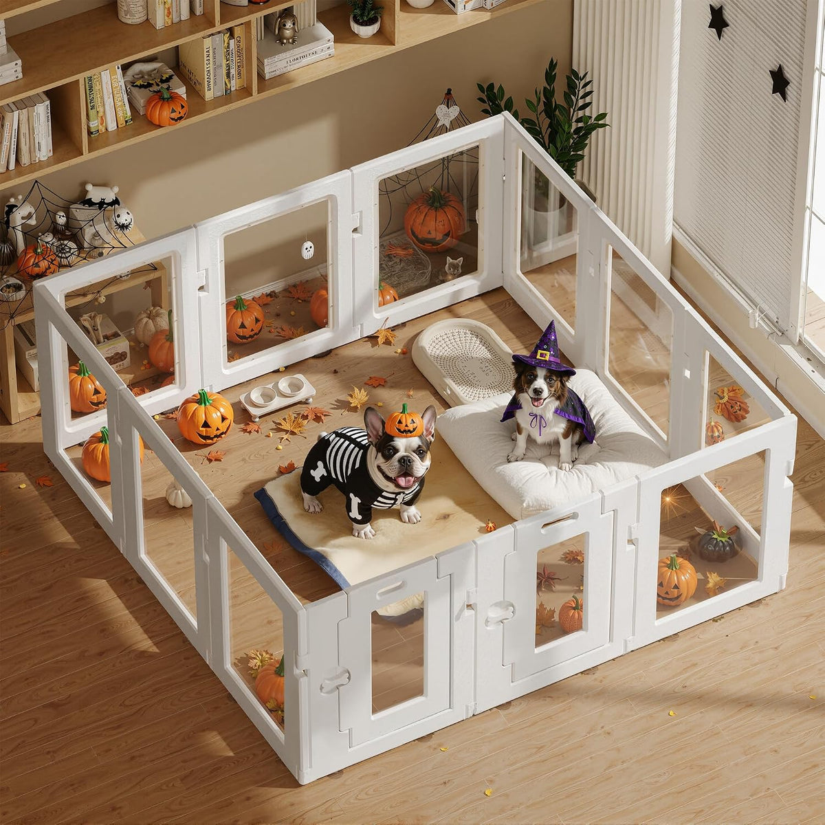 clear acrylic dog playpen indoor, white, 24" h shown in use
