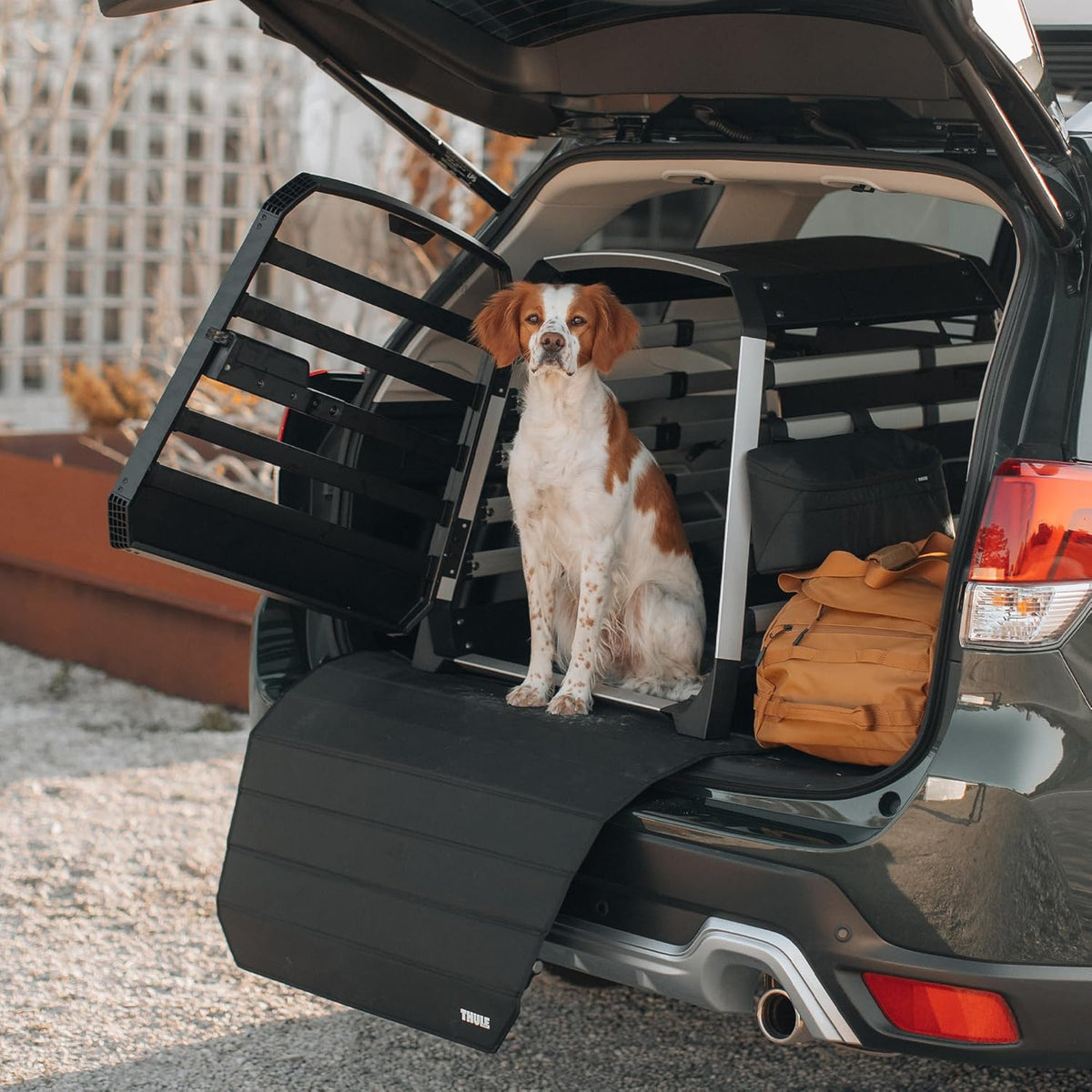 thule allax dog crate xl shown in use