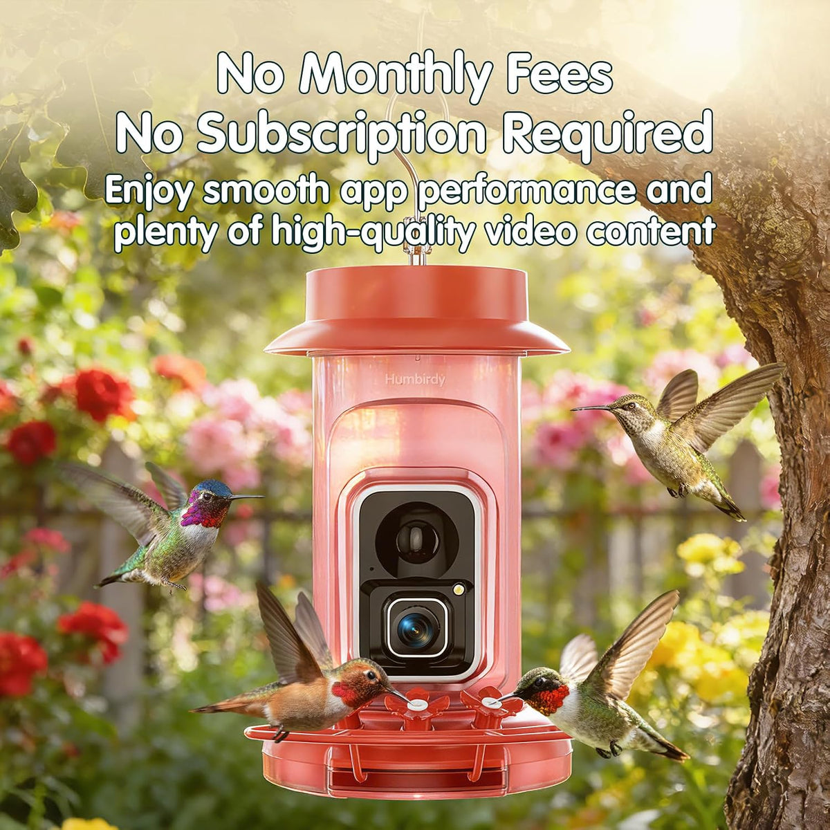 4k hummingbird feeder with camera,no subscription,solar powered showing dimensions