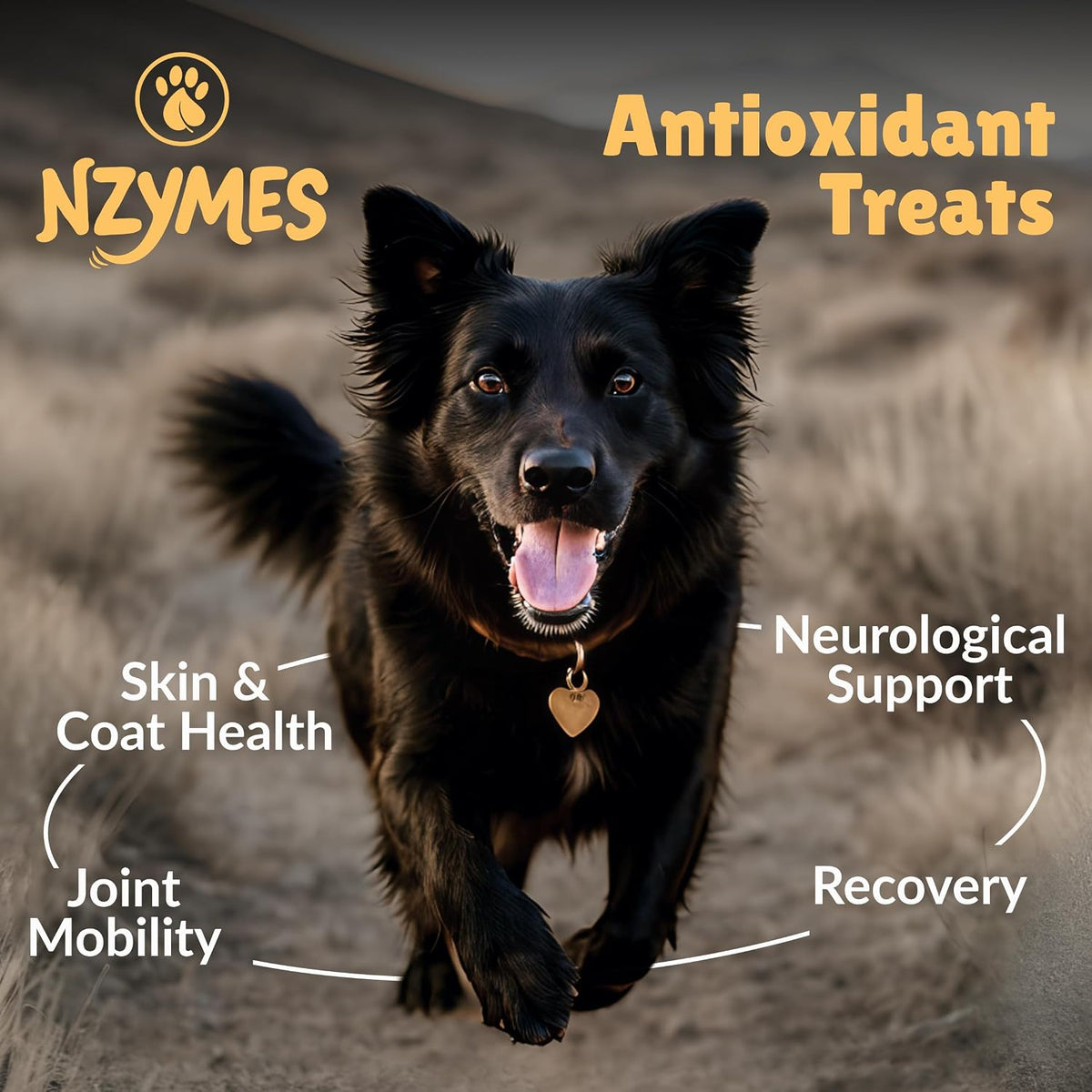 nzymes antioxidant treats for dogs, hip & joint shown in use