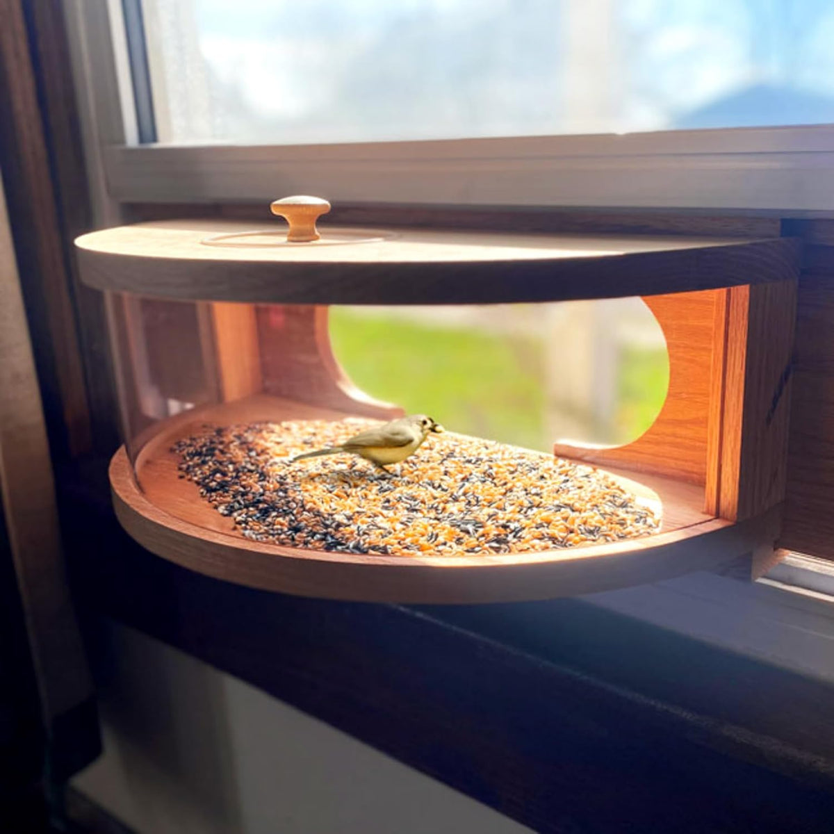 panoramic in-house window bird feeder shown in use