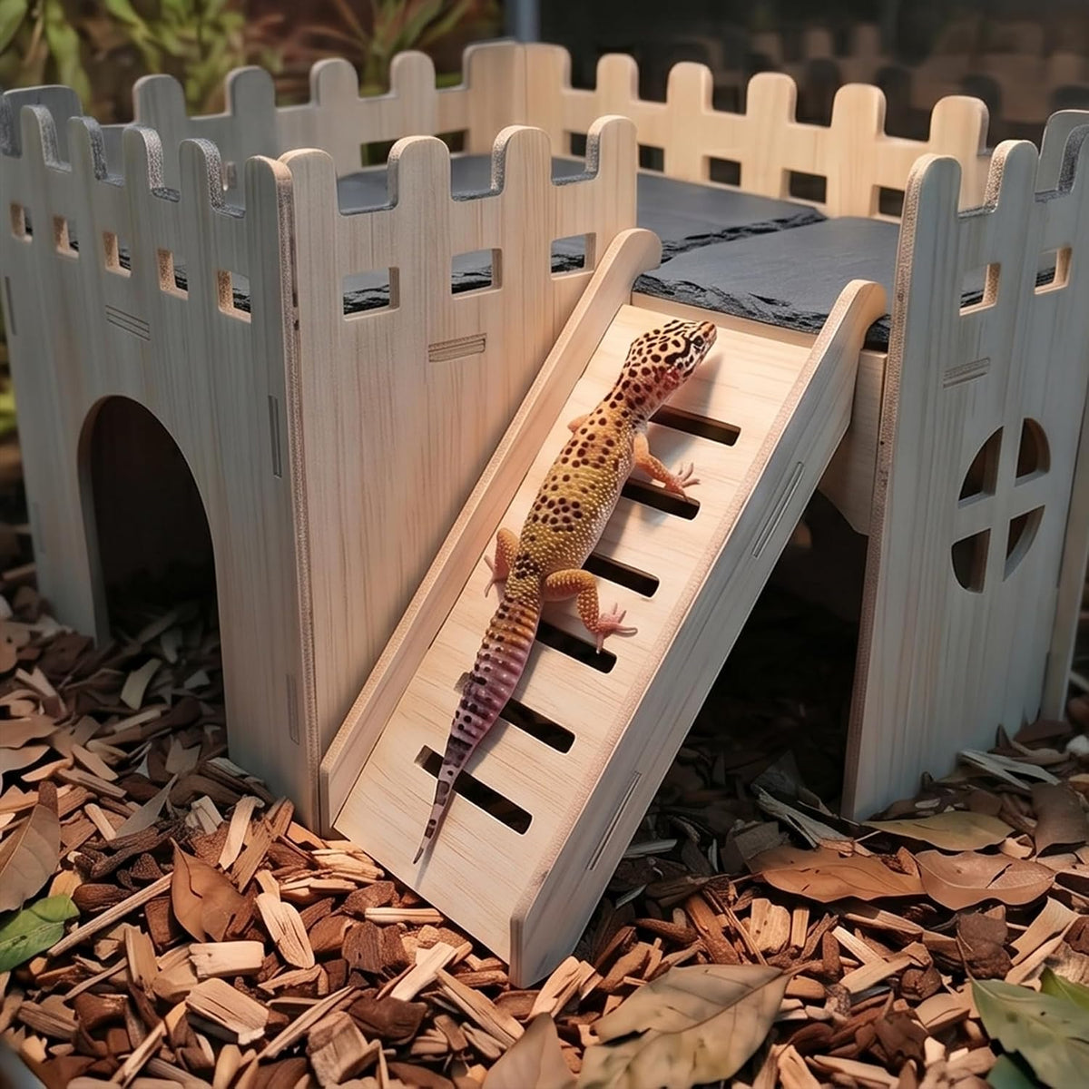 bearded dragon hide cave basking platform - with showing dimensions